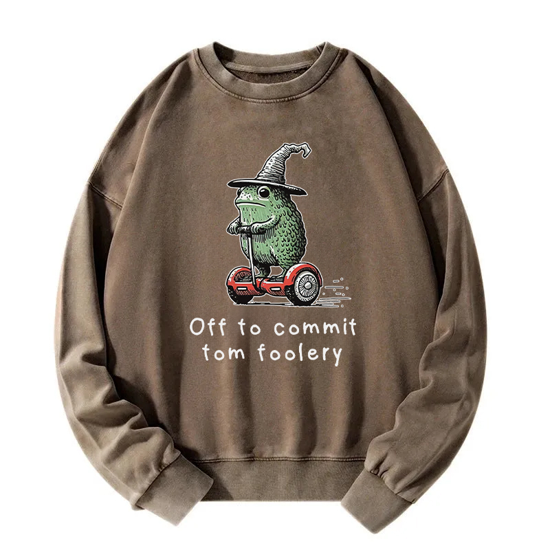 Frog Riding A Balance Scooter Washed Sweatshirt