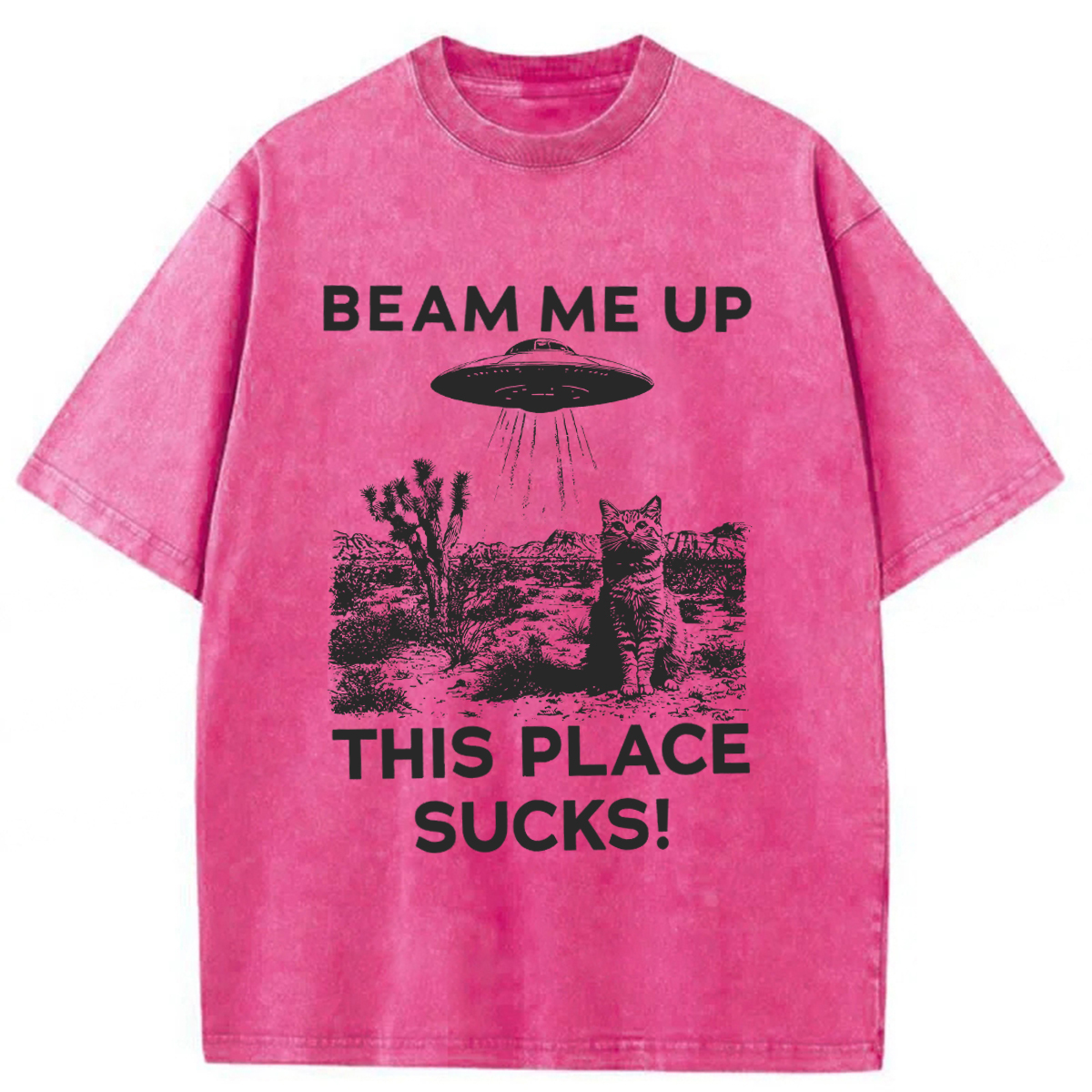 Tokyoviva Cats That Escaped From Earth Washed T-shirt