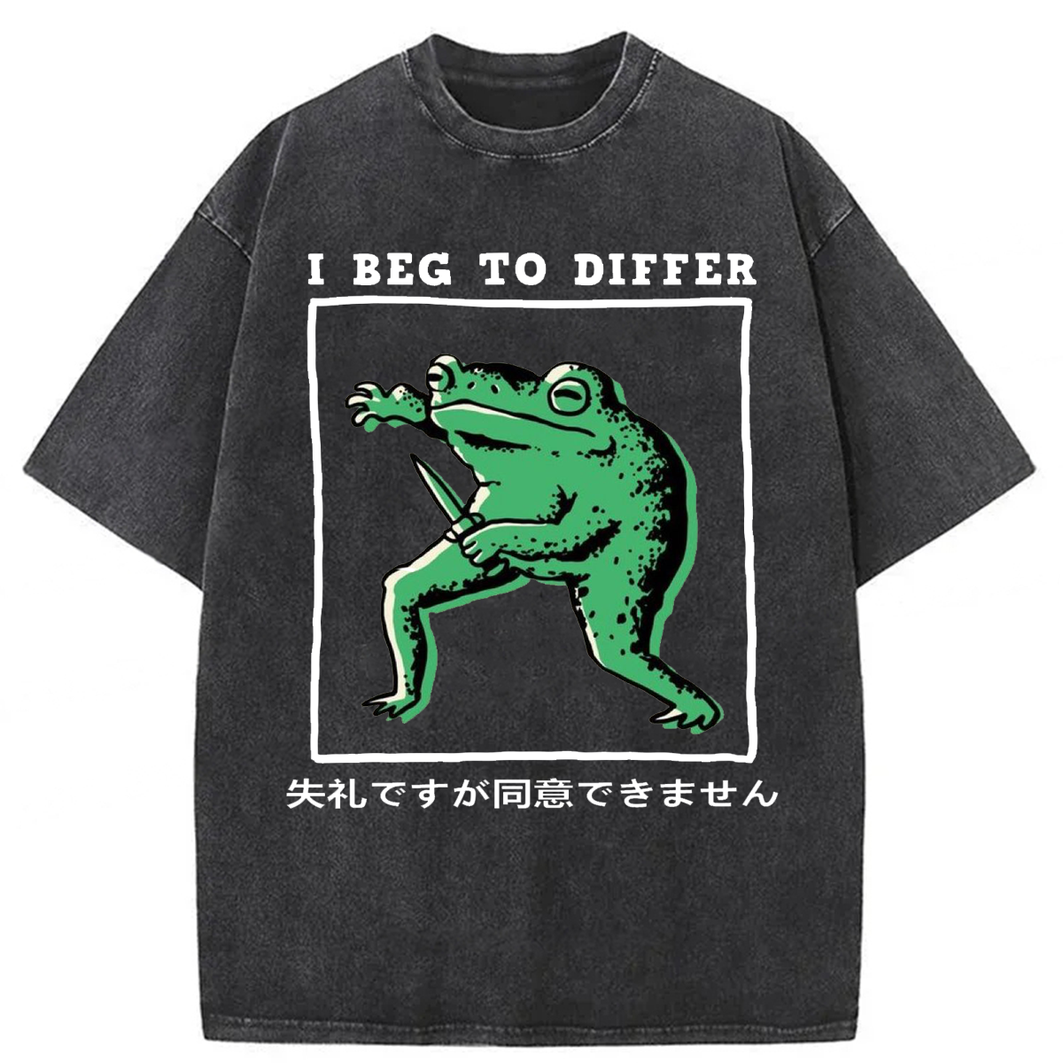 Tokyoviva Funny Frog I Beg To Differ Washed T-shirt