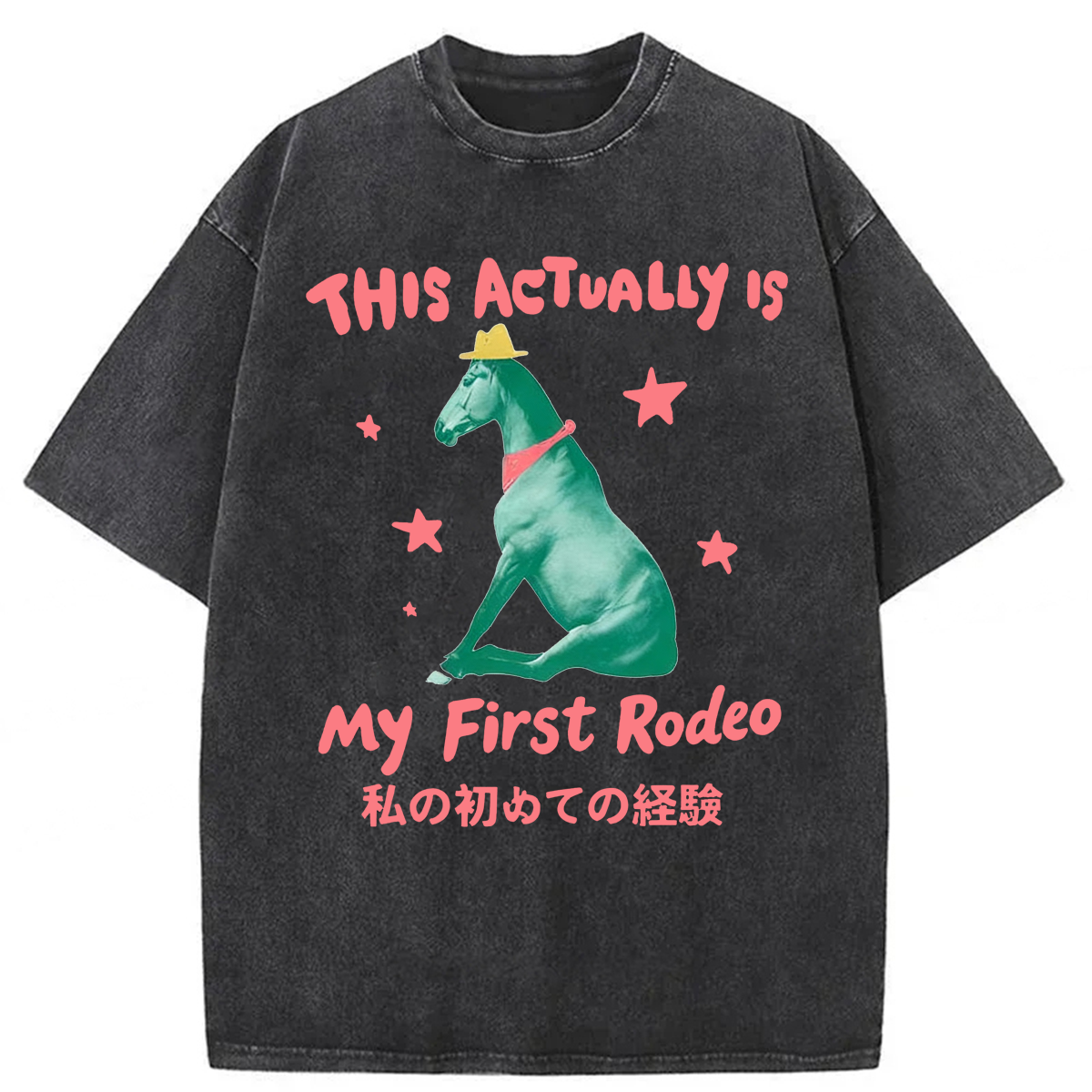 Tokyoviva This Actually Is My First Rodeo Washed T-shirt