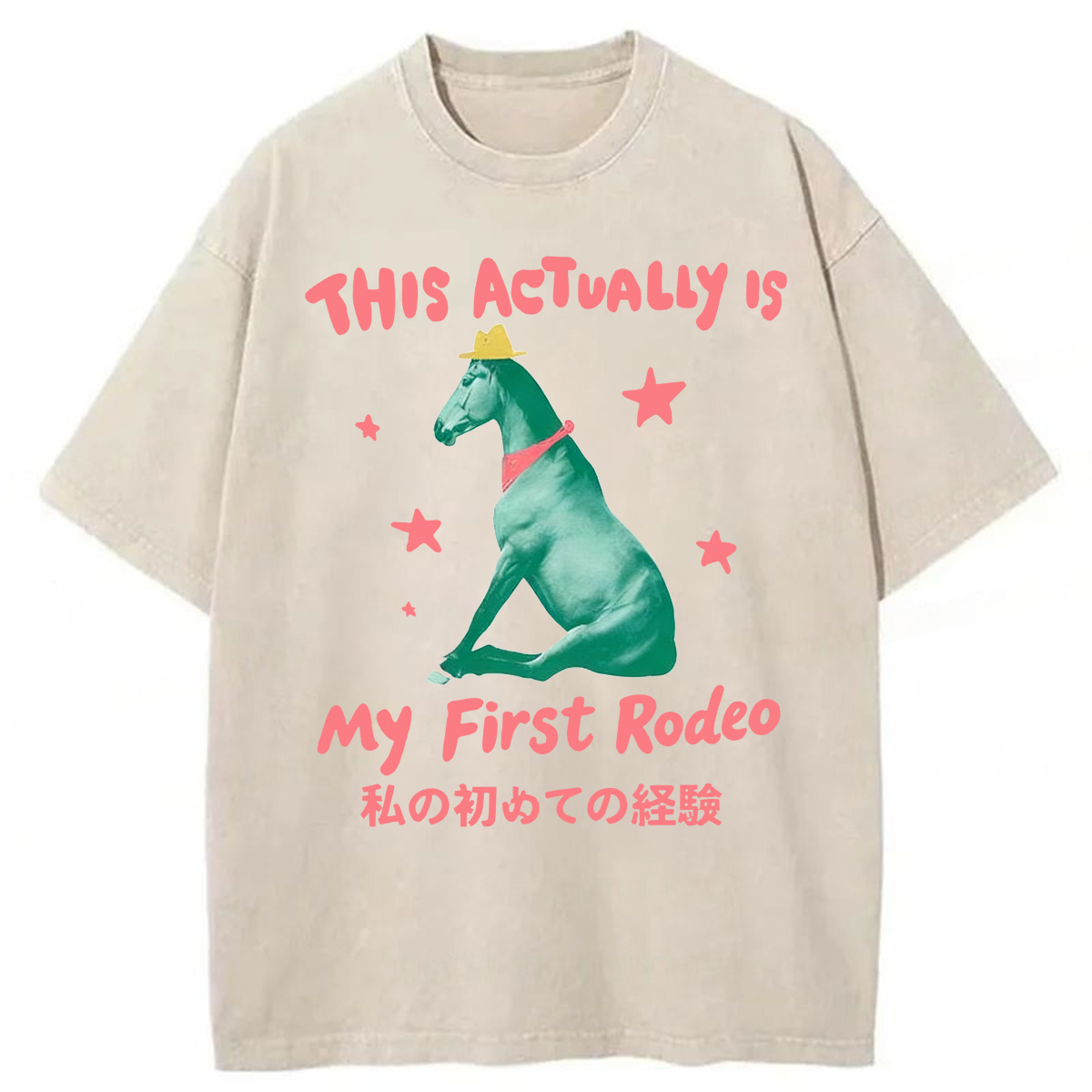 Tokyoviva This Actually Is My First Rodeo Washed T-shirt
