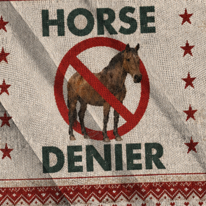 Baddiecat Horse Denier Conspiracy Theory Ugly Sweatshirt