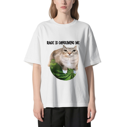 Rage Is Consuming Me Cat Meme Classic T-Shirt