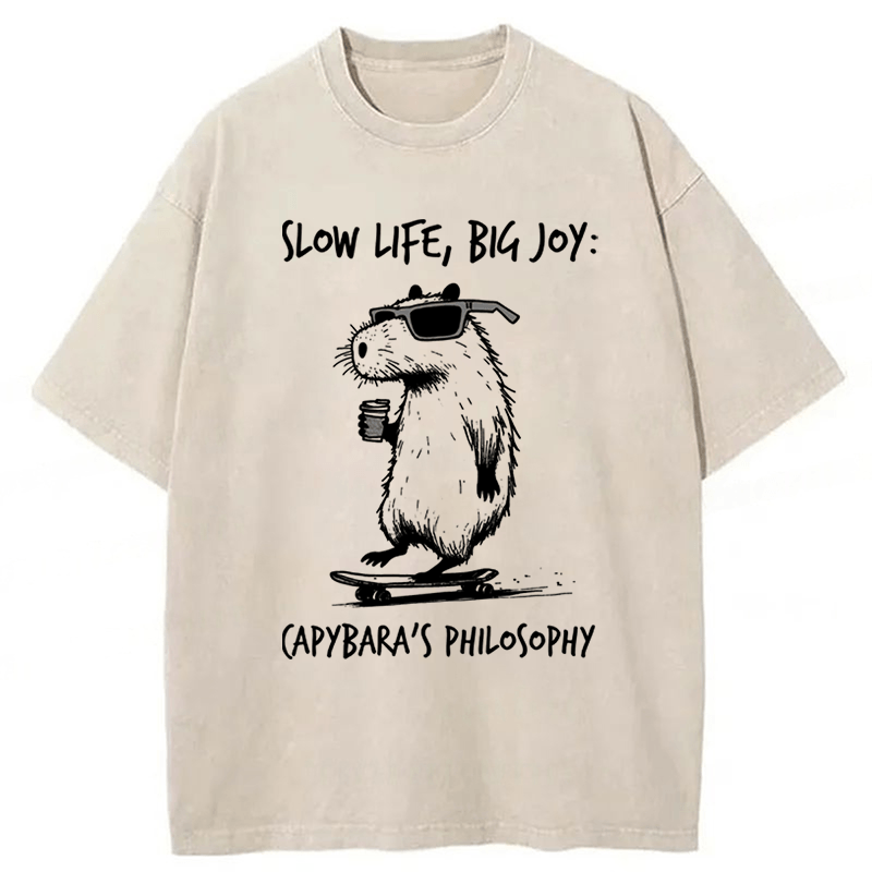 Tokyoviva Capybara Playing On A Skateboard Washed T-Shirt