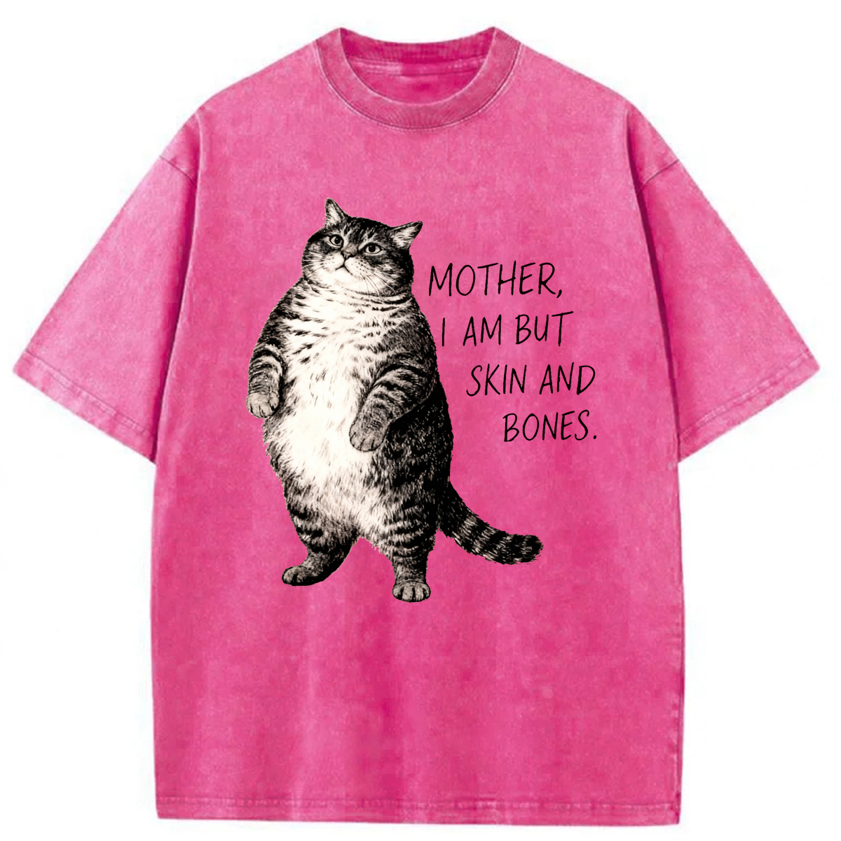 Tokyoviva Overweight Cat And Its Doting Owner Washed T-shirt