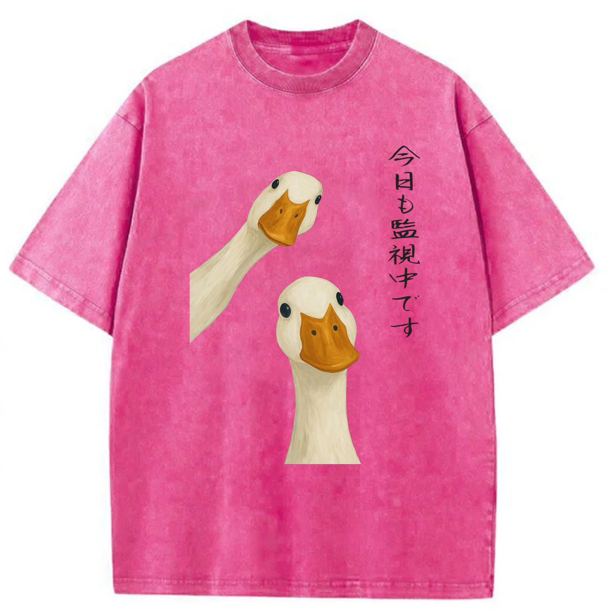 Tokyoviva Japanese The Goose Is Watching Today Washed T-shirt