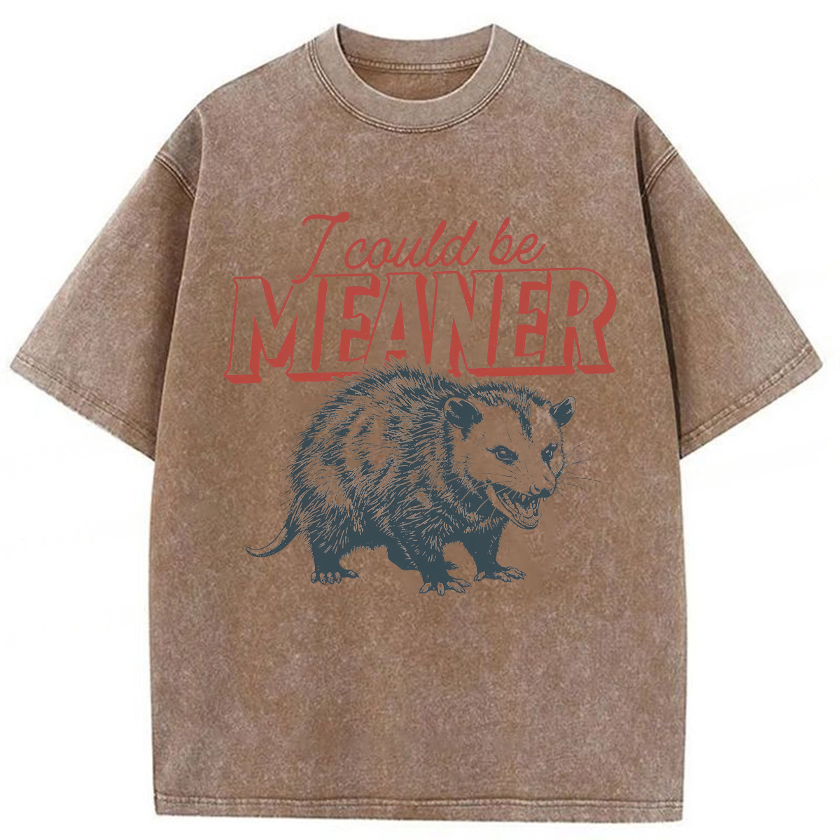 Tokyoviva I Could Be Meaner Possum Washed T-shirt