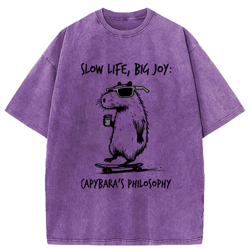 Tokyoviva Capybara Playing On A Skateboard Washed T-Shirt