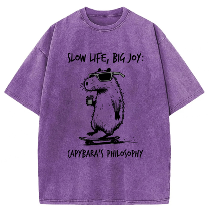 Tokyoviva Capybara Playing On A Skateboard Washed T-Shirt