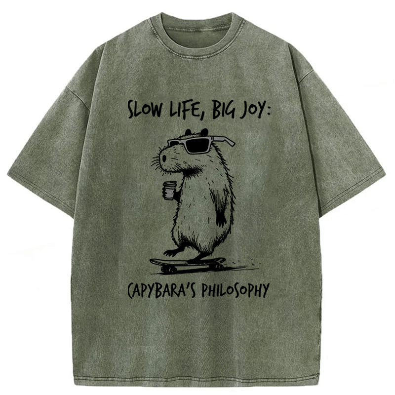 Tokyoviva Capybara Playing On A Skateboard Washed T-Shirt