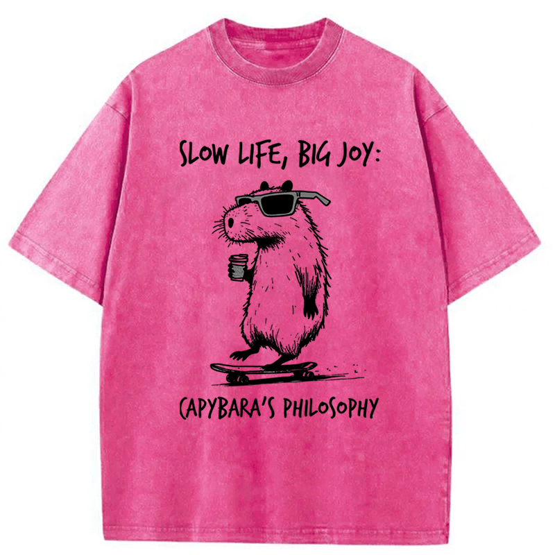 Tokyoviva Capybara Playing On A Skateboard Washed T-Shirt