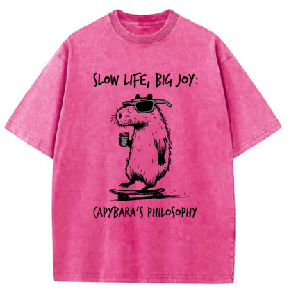 Tokyoviva Capybara Playing On A Skateboard Washed T-Shirt