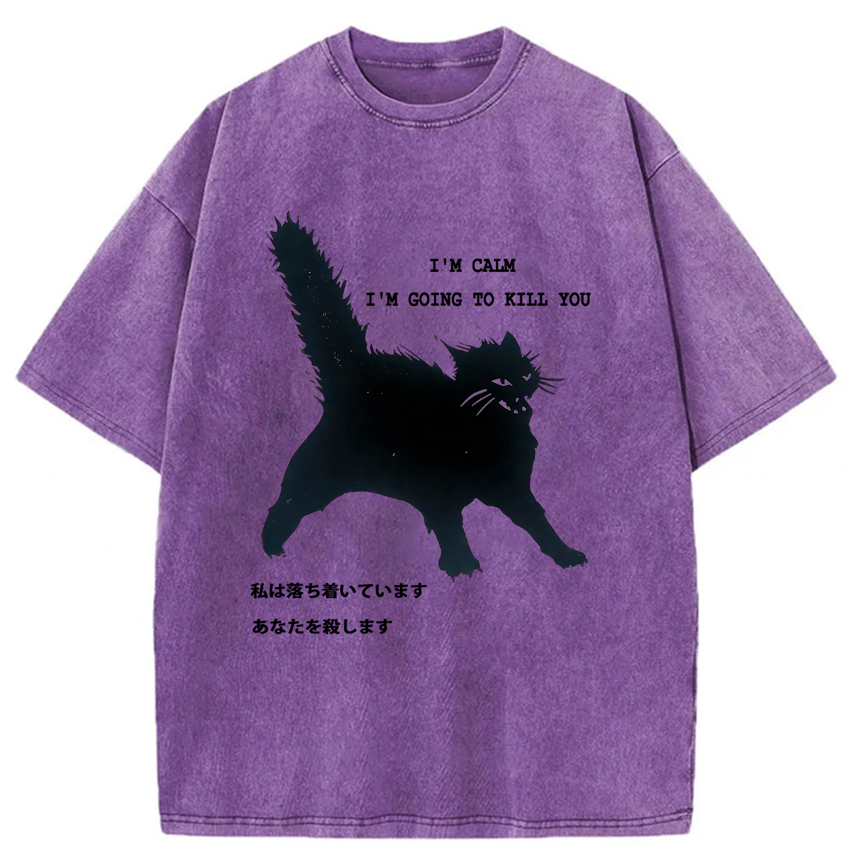 Tokyoviva Calmly Hate Cats Washed T-shirt