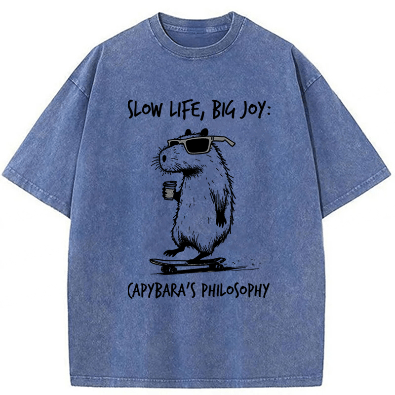 Tokyoviva Capybara Playing On A Skateboard Washed T-Shirt