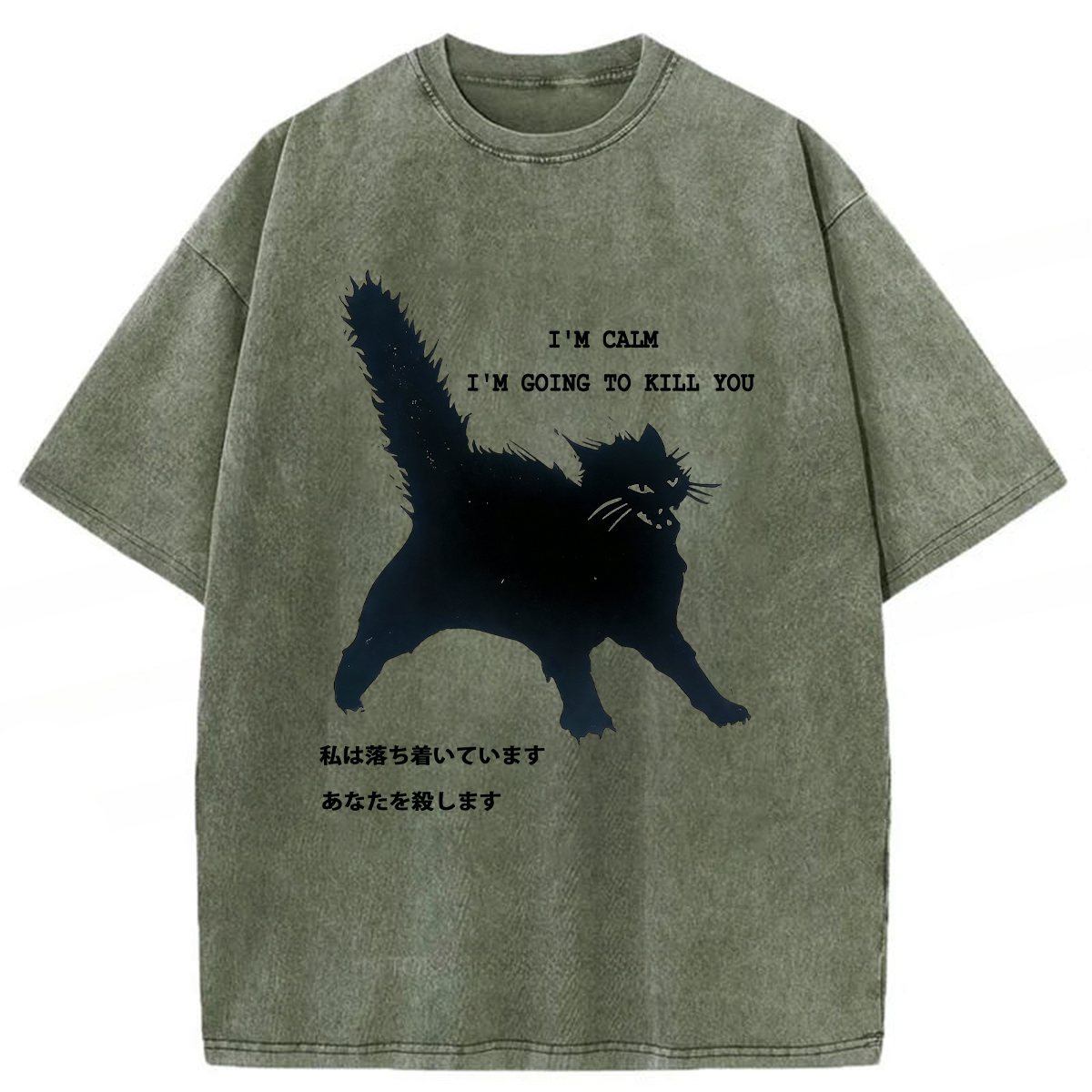 Tokyoviva Calmly Hate Cats Washed T-shirt