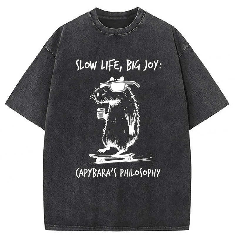 Tokyoviva Capybara Playing On A Skateboard Washed T-Shirt