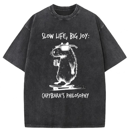 Tokyoviva Capybara Playing On A Skateboard Washed T-Shirt