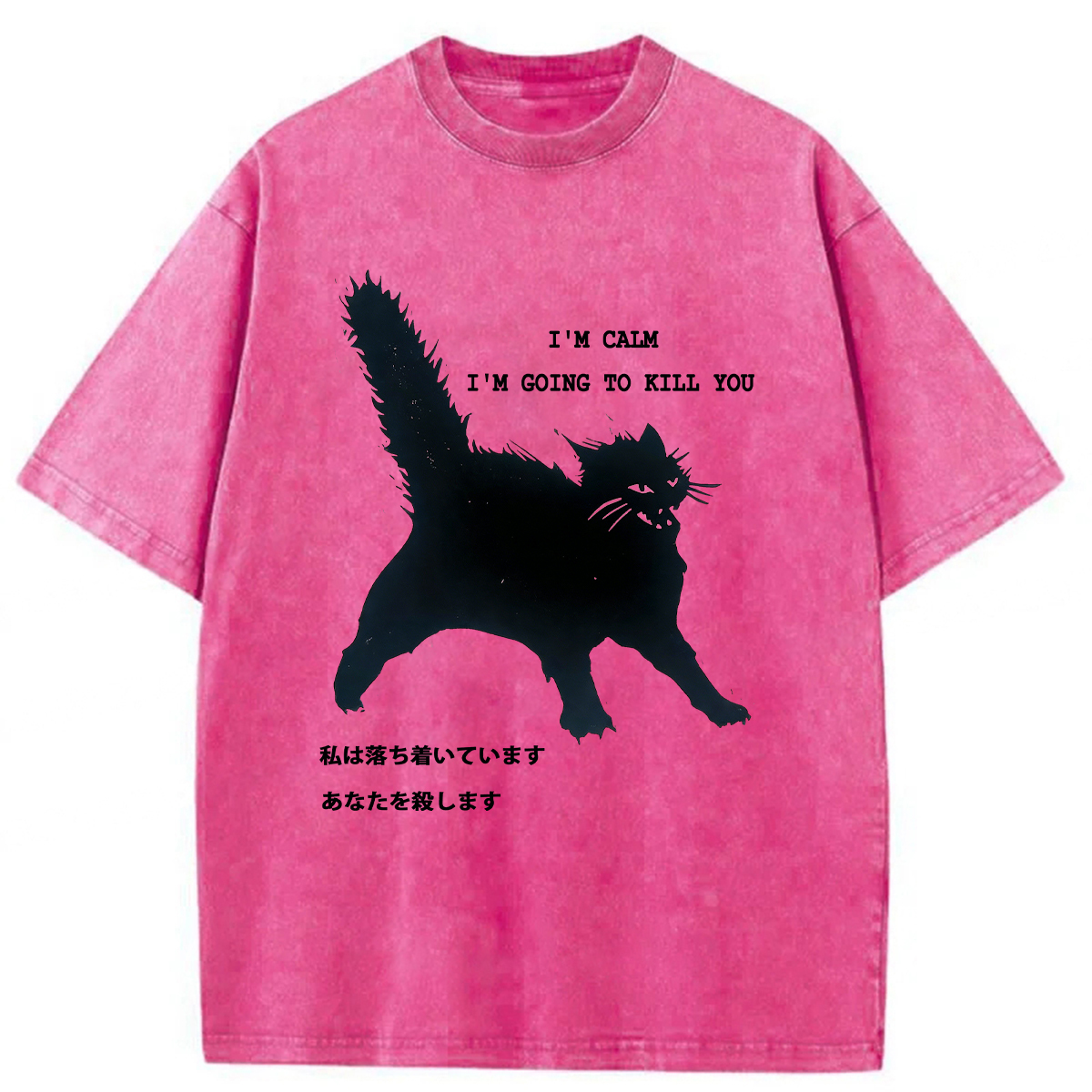 Tokyoviva Calmly Hate Cats Washed T-shirt