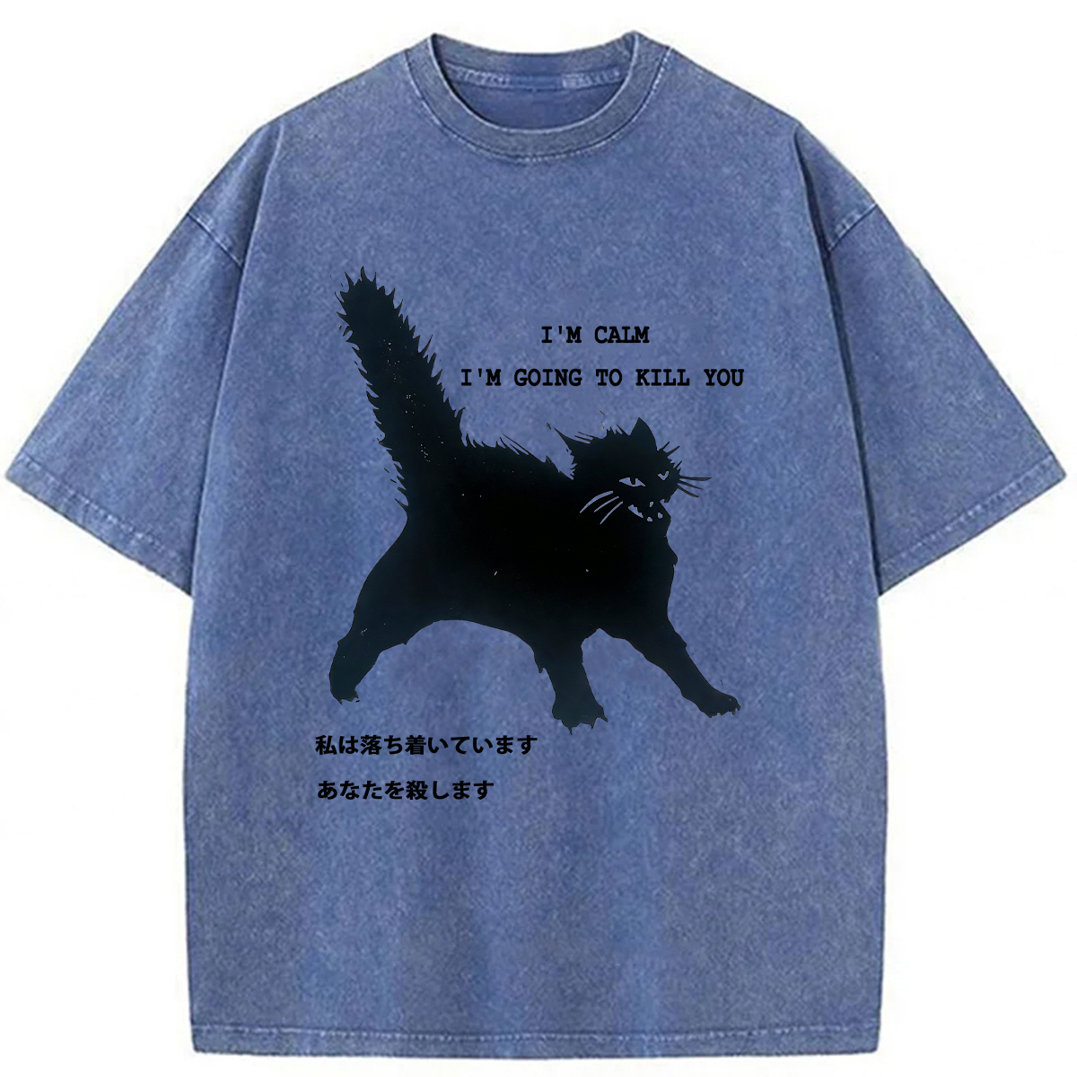 Tokyoviva Calmly Hate Cats Washed T-shirt