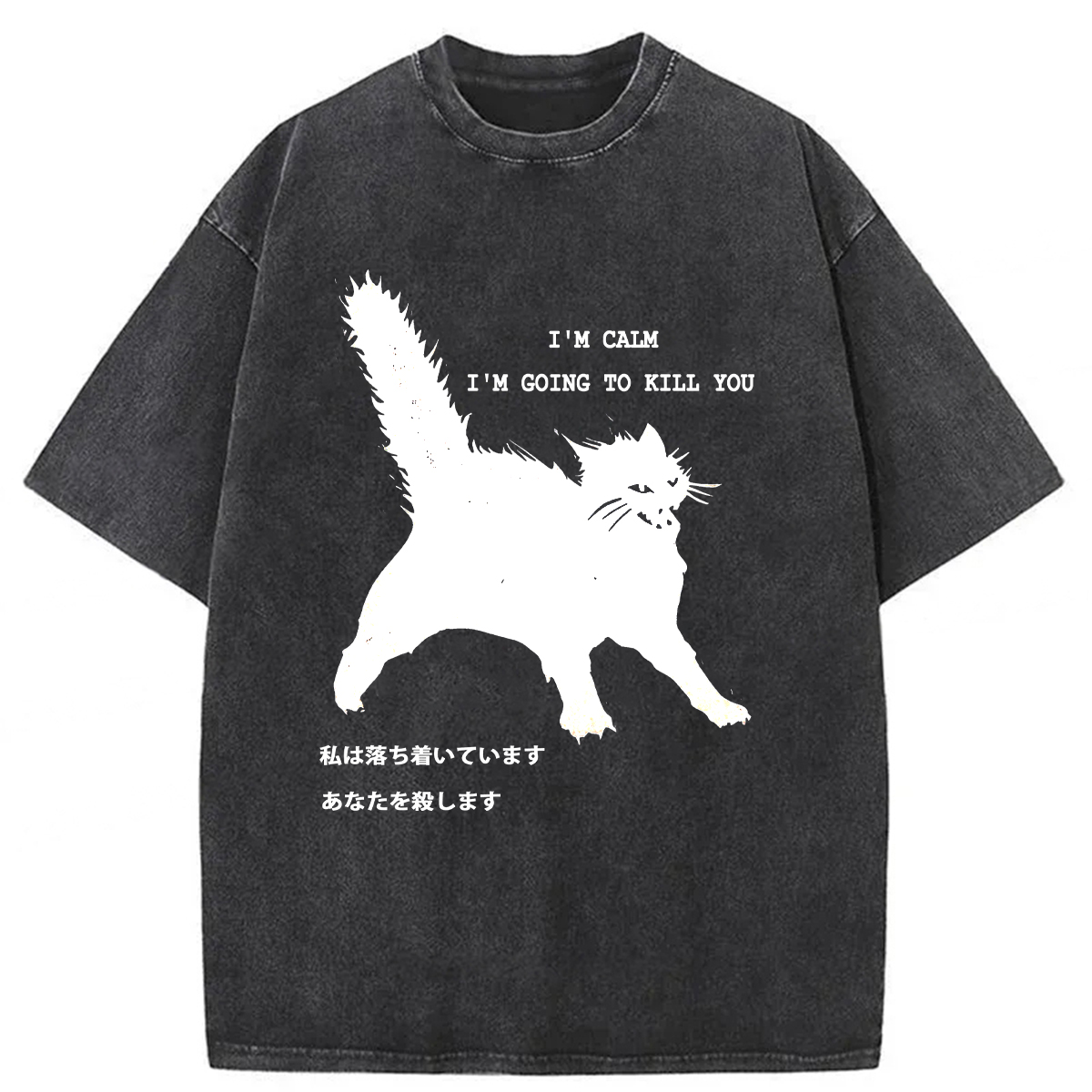 Tokyoviva Calmly Hate Cats Washed T-shirt