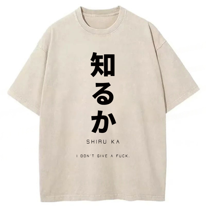 Tokyoviva Japanese I Don't Care Washed T-shirt