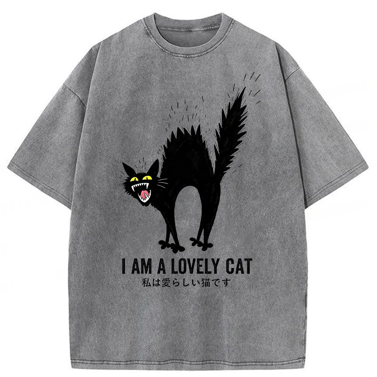 Tokyoviva I Am A Lovely Cat Washed T-Shirt