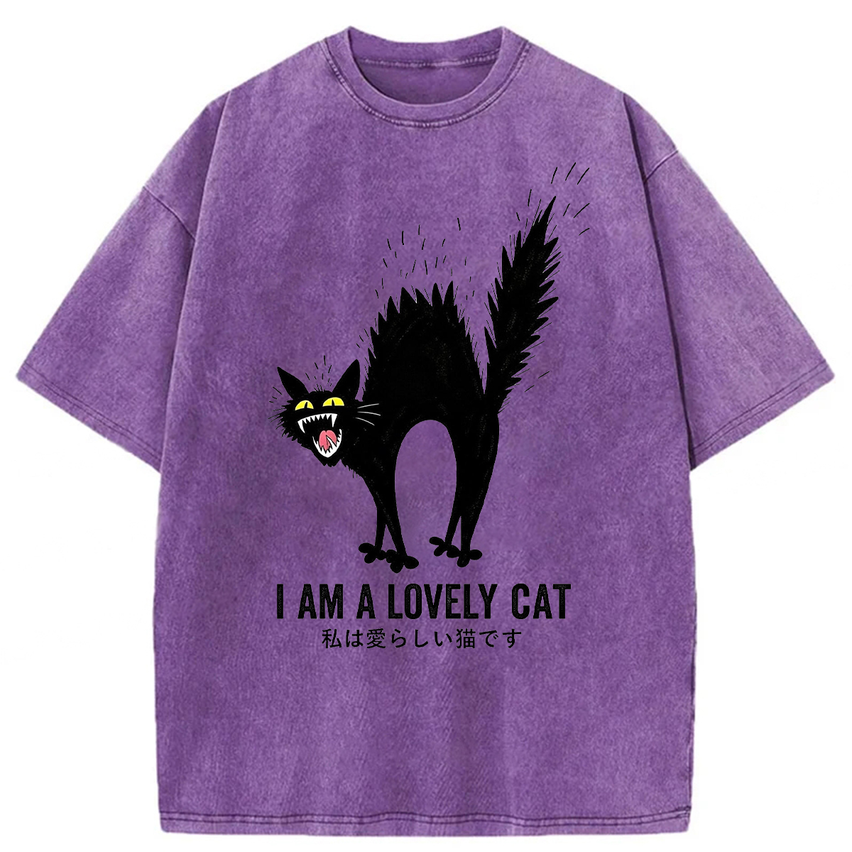 Tokyoviva I Am A Lovely Cat Washed T-Shirt