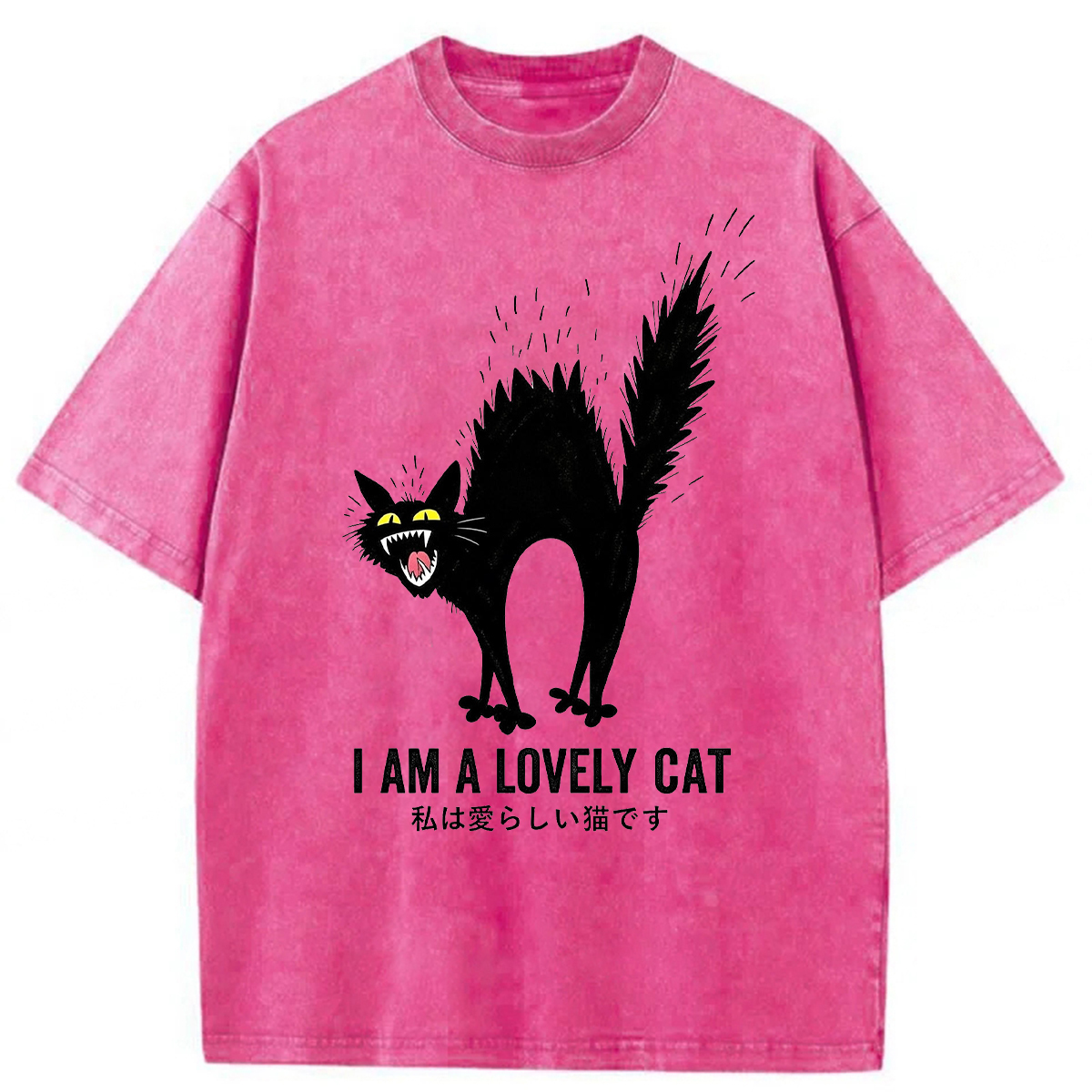 Tokyoviva I Am A Lovely Cat Washed T-Shirt