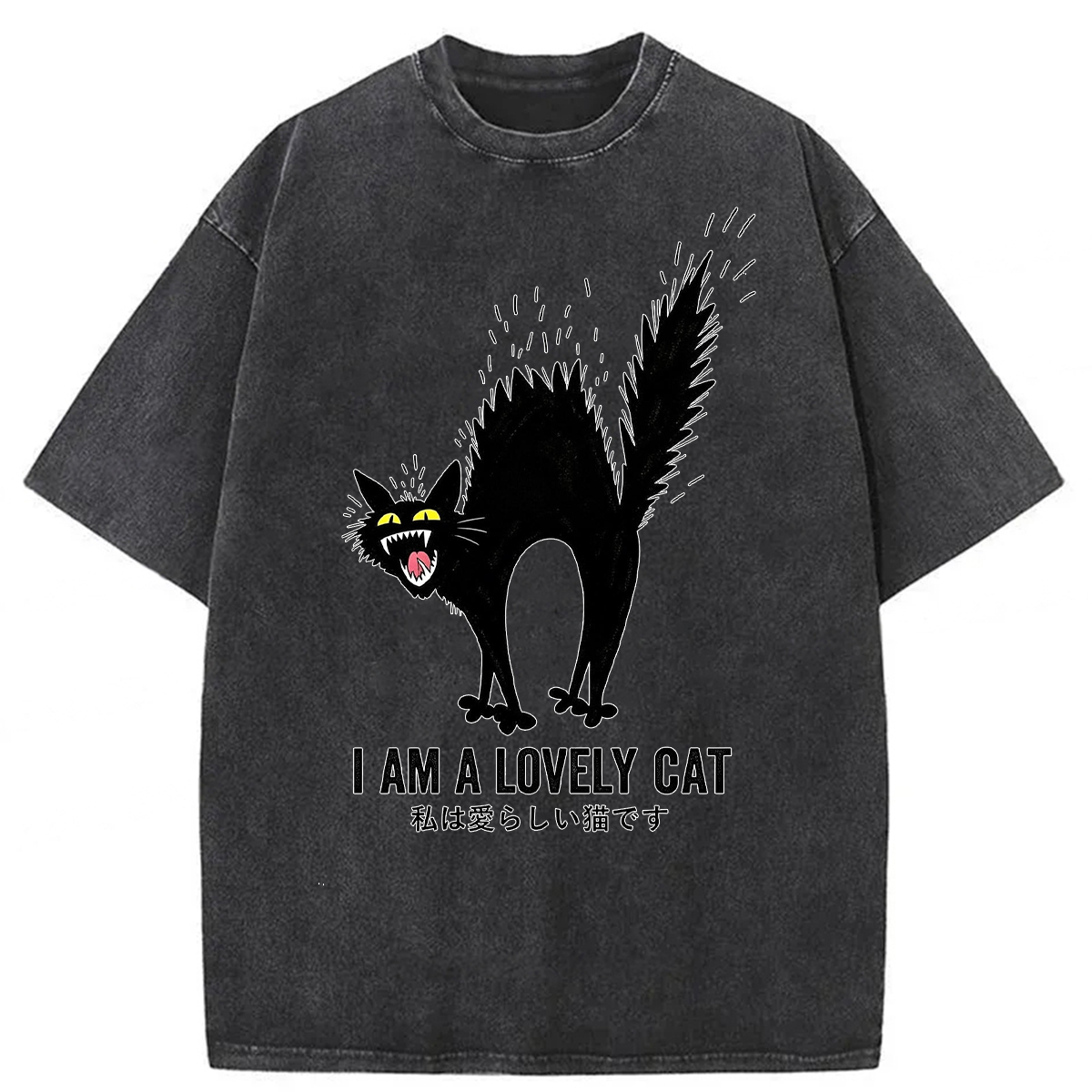 Tokyoviva I Am A Lovely Cat Washed T-Shirt