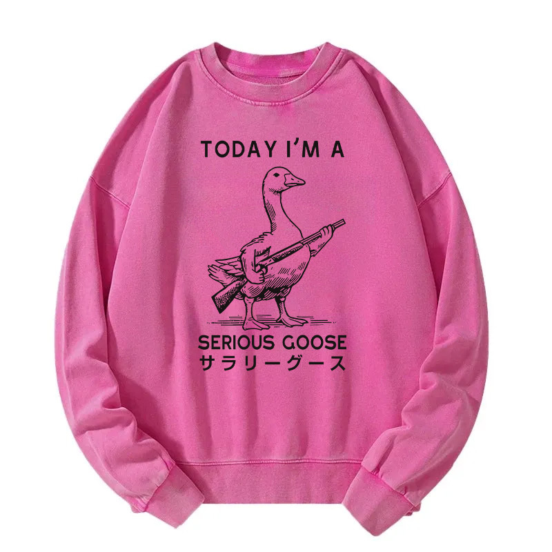 Serious Stupid Goose Washed Sweatshirt