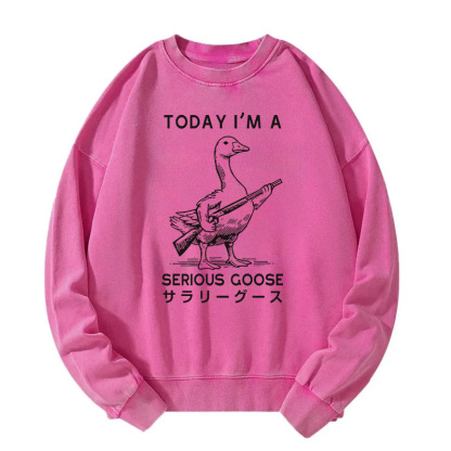 Serious Stupid Goose Washed Sweatshirt