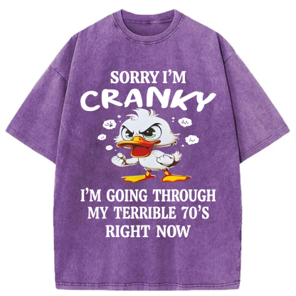 Tokyoviva Sorry I'm Cranky Washed T-shirt
