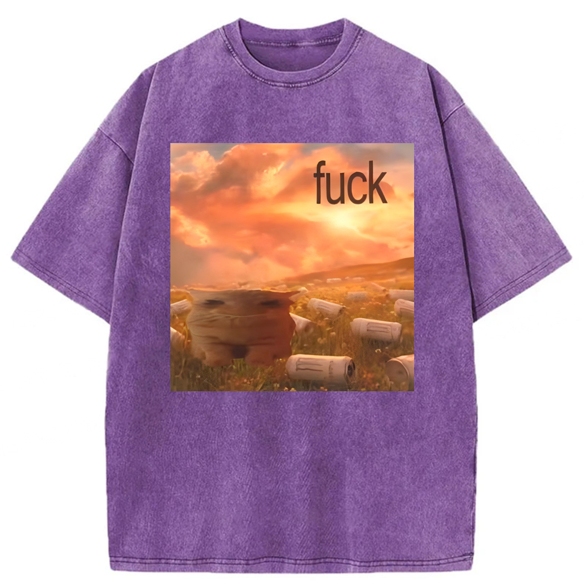 Tokyoviva Funny Cat Drinking Meme Washed T-shirt