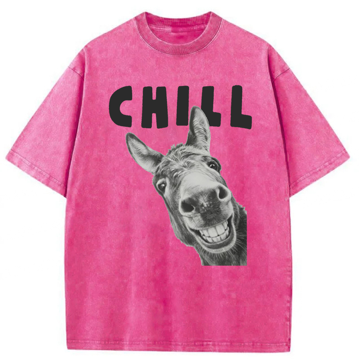 Tokyoviva Chill Donkey Washed T-shirt