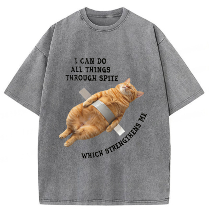 Tokyoviva All-powerful Cat Washed T-shirt