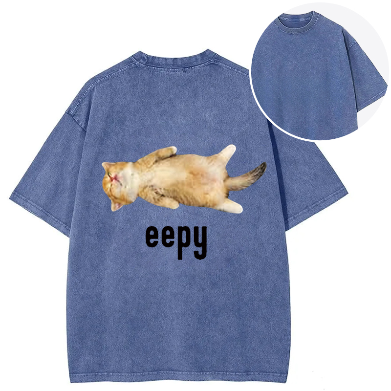 Silly Sleepy Cat Meme Back Washed T-Shirt