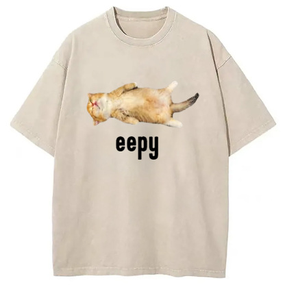 Silly Sleepy Cat Meme Washed T-Shirt