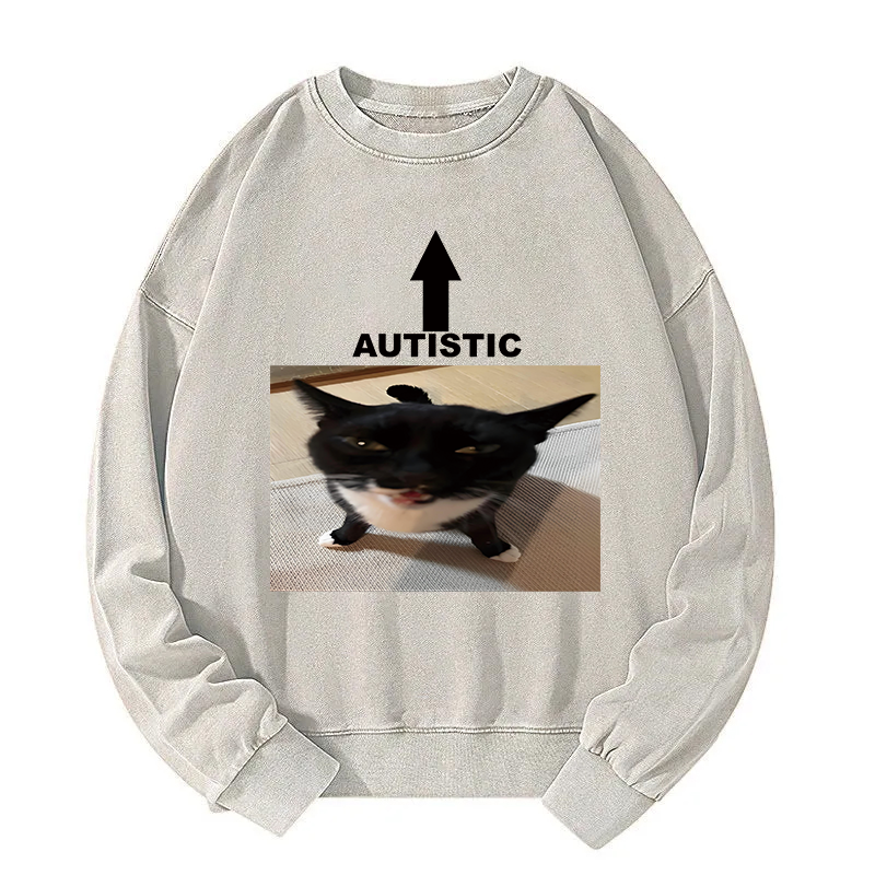 Autistic Cat Washed Sweatshirt