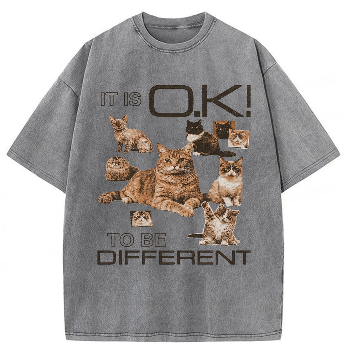 Tokyoviva Cat It's Ok To Be Different Washed T-shirt