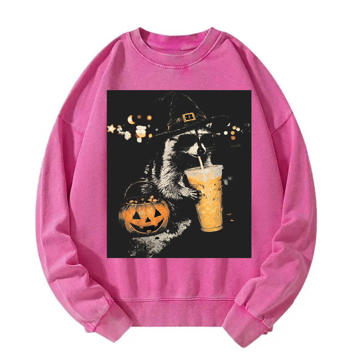Tokyoviva Halloween Raccoon Washed Sweatshirt