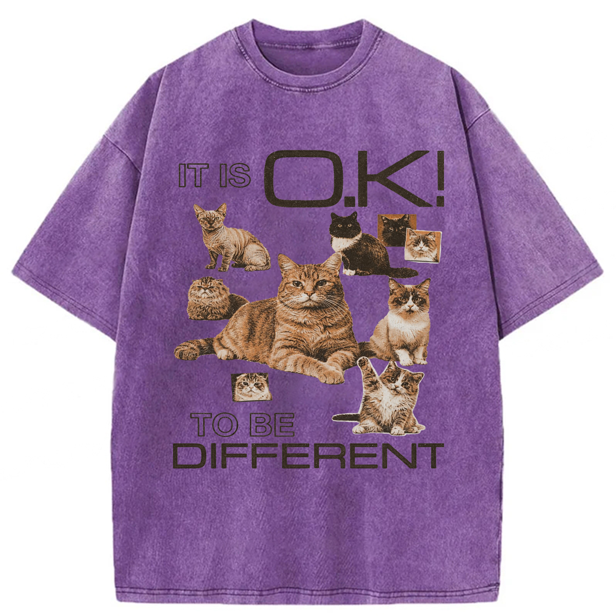 Tokyoviva Cat It's Ok To Be Different Washed T-shirt