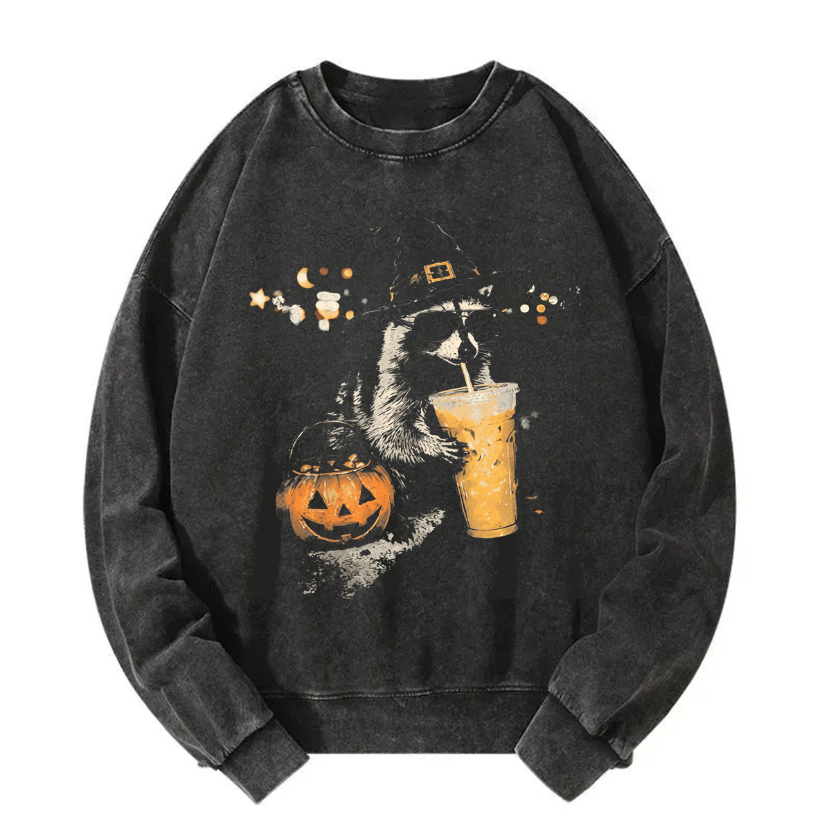 Tokyoviva Halloween Raccoon Washed Sweatshirt