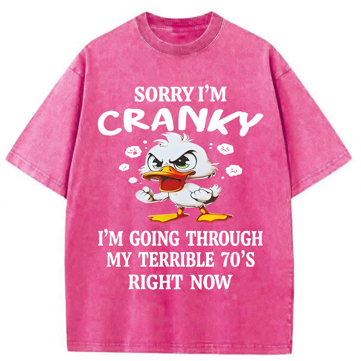 Tokyoviva Sorry I'm Cranky Washed T-shirt