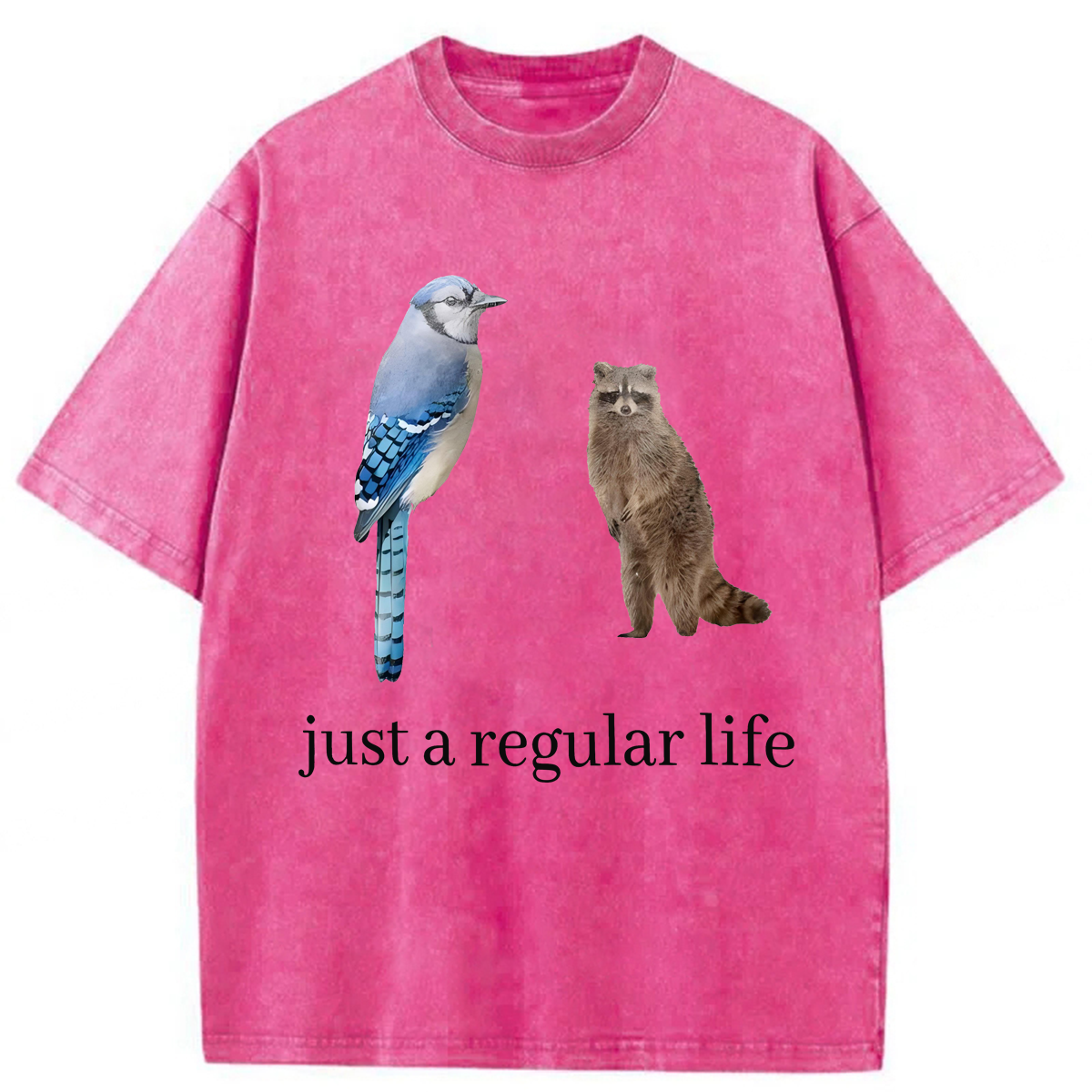 Tokyoviva Just A Regular Life Washed T-shirt