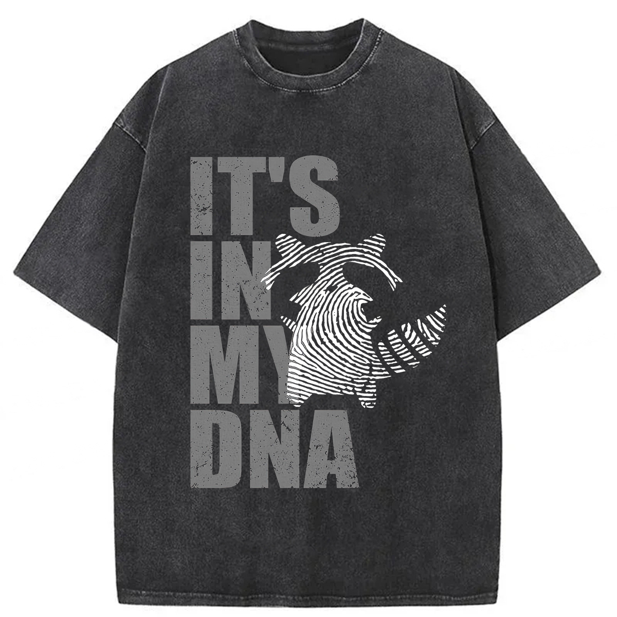 Tokyoviva Raccoon It's In My DNA Washed T-shirt