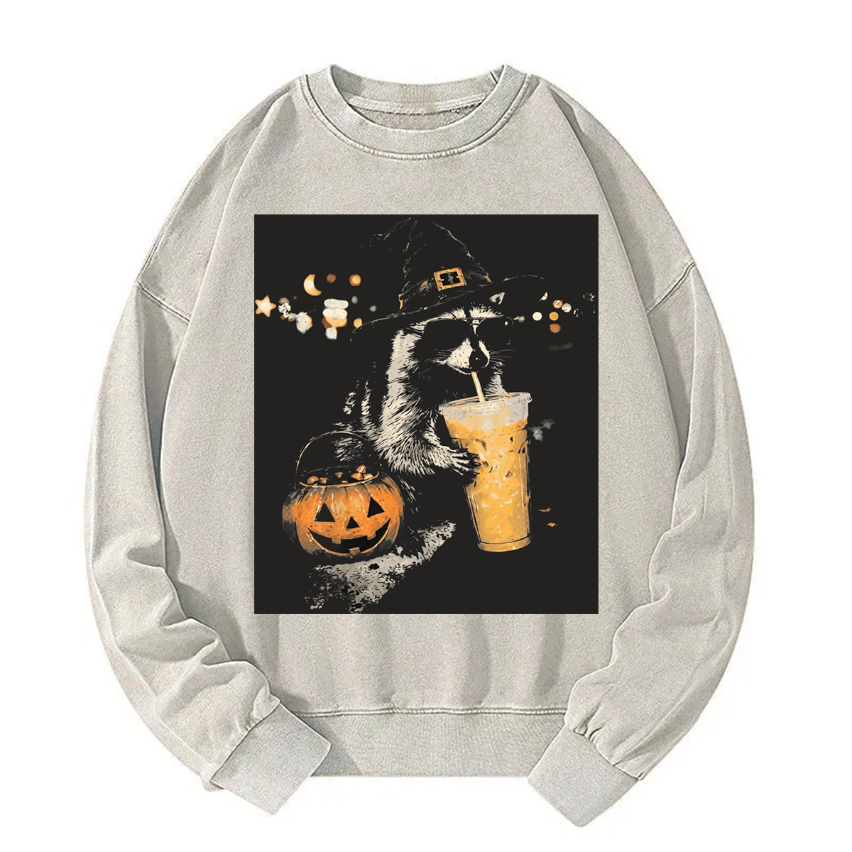 Tokyoviva Halloween Raccoon Washed Sweatshirt
