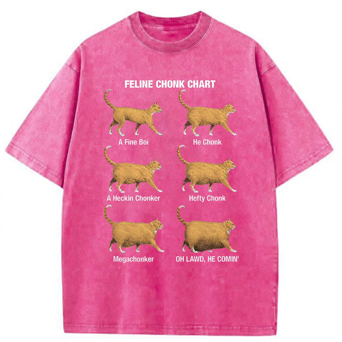 Tokyoviva Chonky Cat Evolution Washed T-shirt