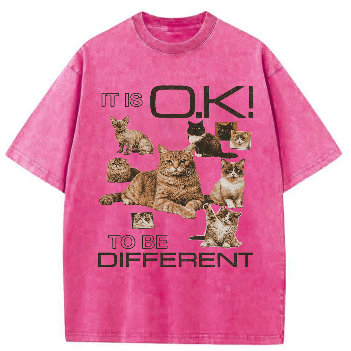 Tokyoviva Cat It's Ok To Be Different Washed T-shirt