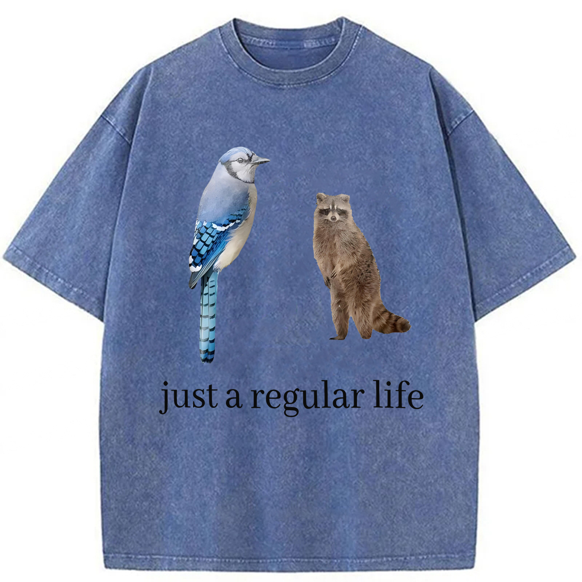 Tokyoviva Just A Regular Life Washed T-shirt