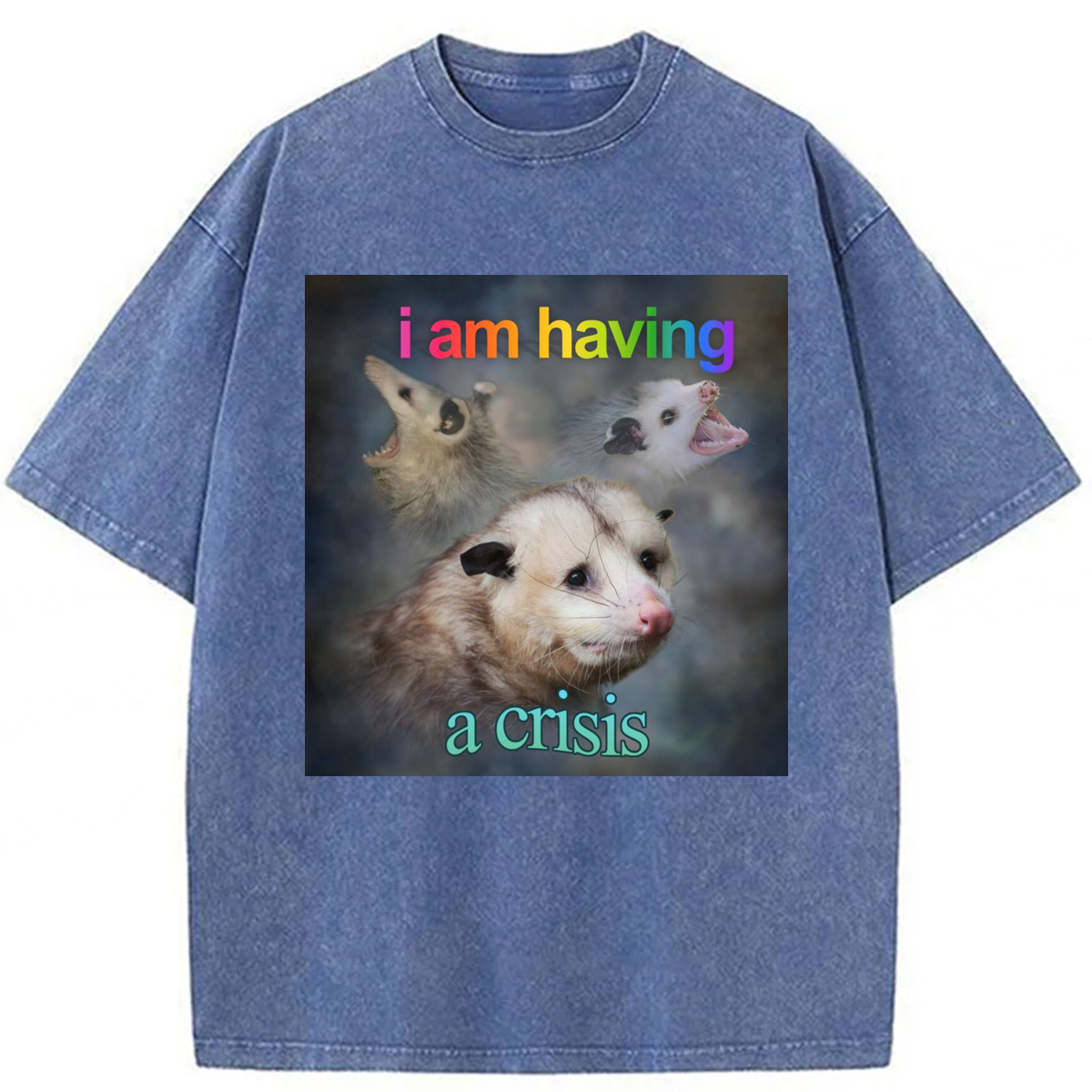 Tokyoviva I Am Having A Crisis Possum Washed T-shirt